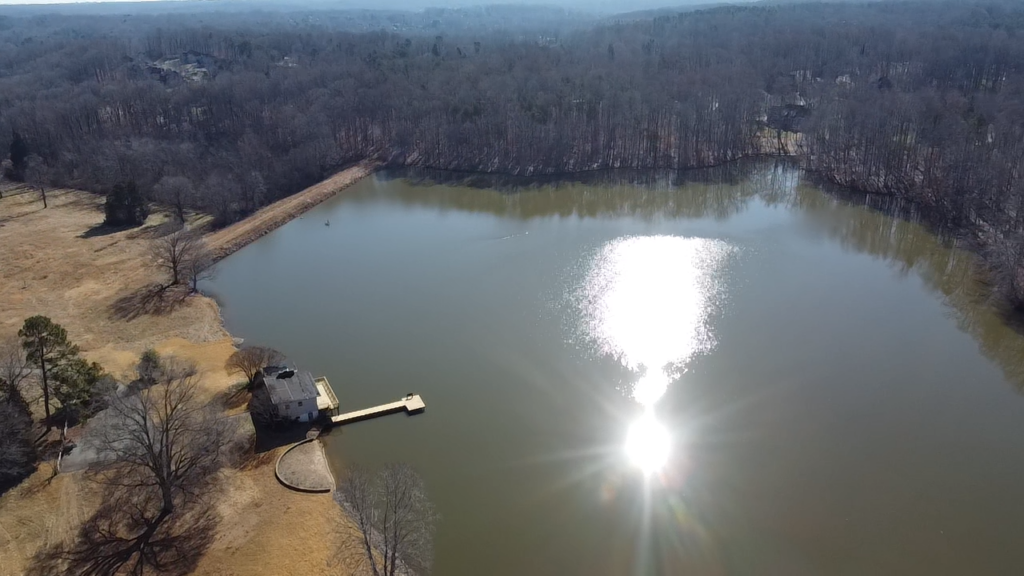 Hanes Lake Dam Remediation